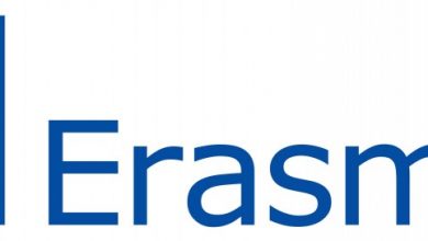 erasmus logo 2